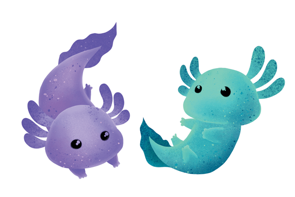 AXOLOTL | Silityskuva-arkki