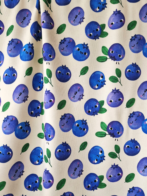 BLUEBERRY | Joustocollege
